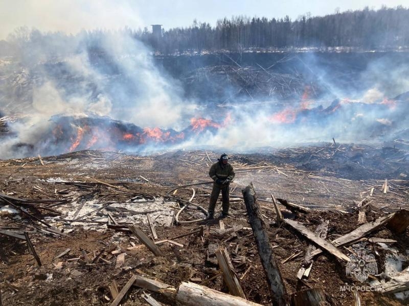 Огромный пожар на пилораме под Красноярском потушили спустя пять дней