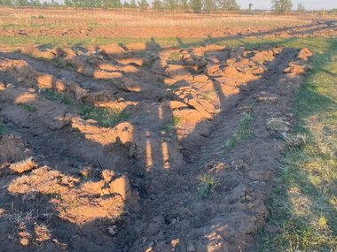 Отара овец разгромила памятный геоглиф в Хакасии спустя две недели после посадки