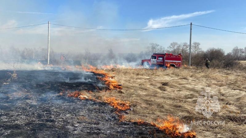 Поджигатели травы в Усольском районе чуть не спалили посёлок Набережный