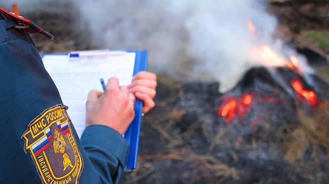 Пожары причинили лесному фонду Томской области почти 12 миллионов рублей ущерба