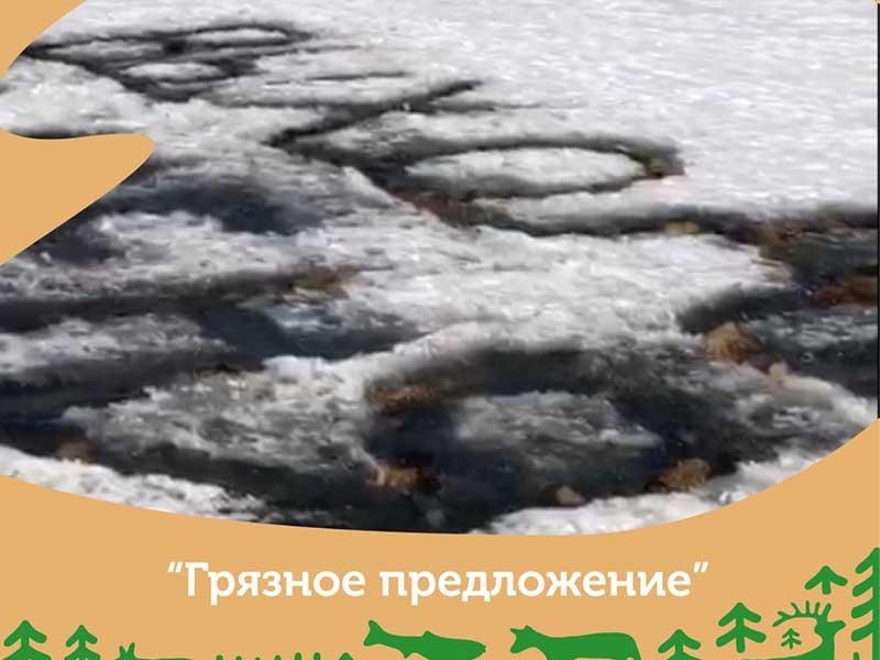 Предложение руки и сердца из горелых опилок обнаружили на льду Байкала возле мыса Бурхан