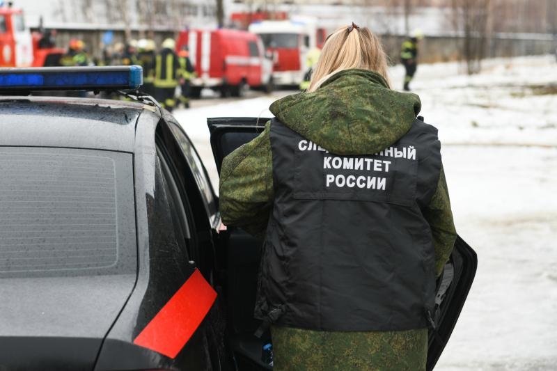 Председатель СКР заинтересовался поножовщиной у школьников в Бердске