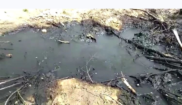 Разлив нефтепродуктов обнаружили в окрестностях села Новоюгино Томской области 