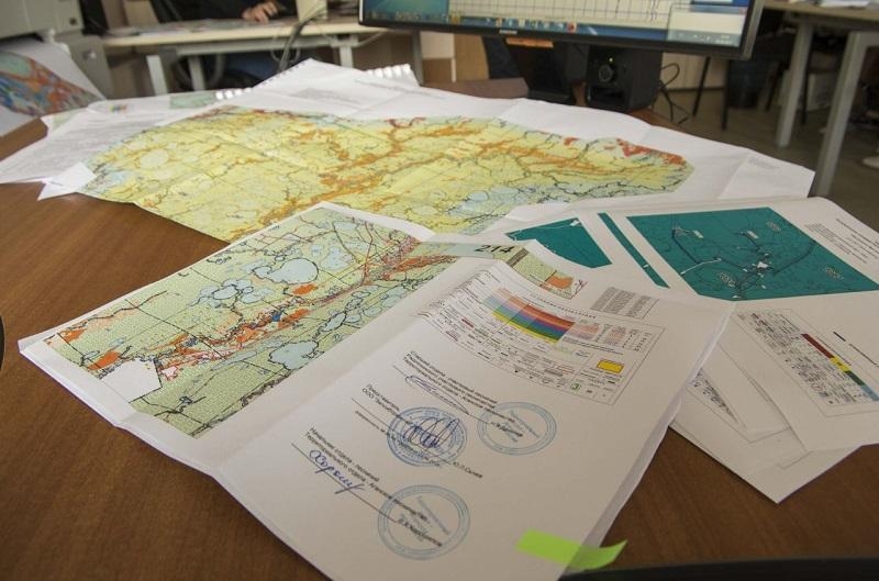 Российские власти упростили жизнь лесному бизнесу