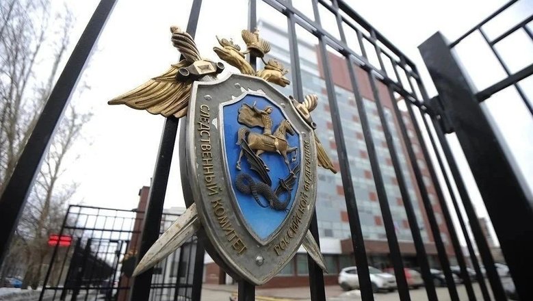 СК завел дело по факту исчезновения 16-летней девушки в Ульяновской области