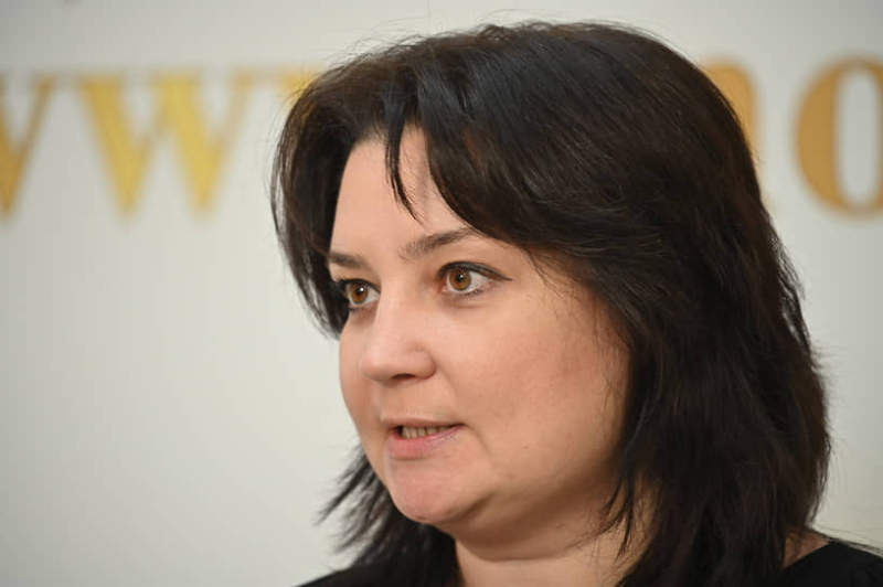 Светлана Стригункова обвиняется в получении взяток в особо крупном размере за покровительство при ремонте подмосковных медучреждений. Расследование завершено, обвинительное заключение направлено в прокуратуру. Экс-чиновница отрицает вину.