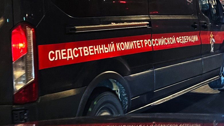 ТАСС: умер дроппер, который обналичил 15 млн рублей Долиной
