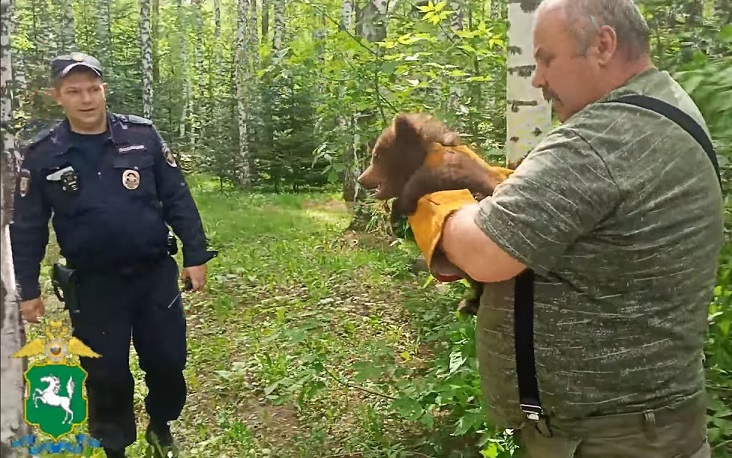 Томские полицейские изловили в Лагерном саду медвежонка. Видео