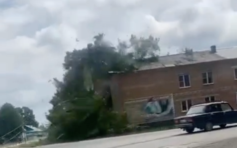Тополь упал на жилой дом в Тюхтетском районе. Видео 