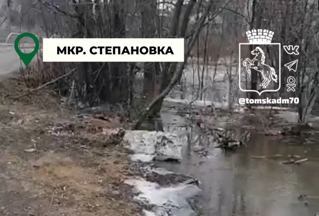 Ушайка подтопила 20 дачных участков в томском посёлке Заварзино