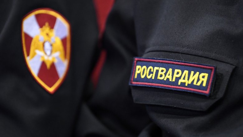 Установлены диверсанты, напавшие на сотрудников Росгвардии в Брянской области