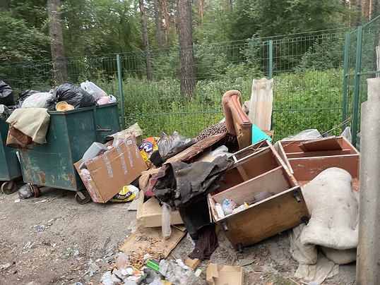 В Аникино из грузовика вывалили крупногабаритный мусор. Личность водителя устанавливается