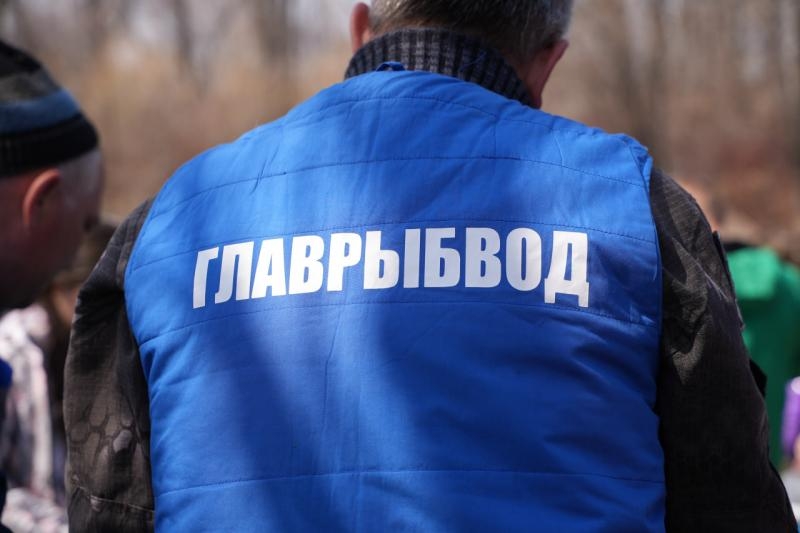 В Байкал выпустят больше 800 миллионов личинок омуля в 2023 году