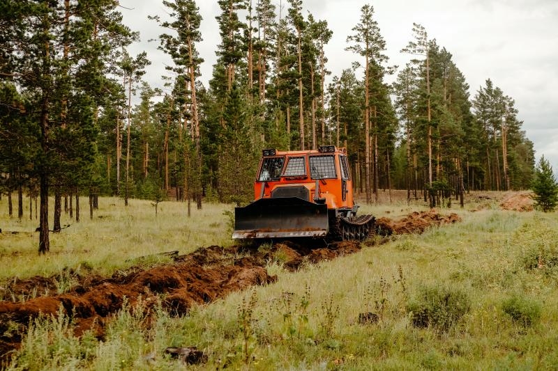 В Бурятии выделили 803 миллиона рублей на охрану лесов от пожаров