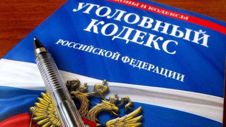 В Госдуме призвали не переходить по ссылкам о &laquo;семейных выплатах&raquo; из сообщений