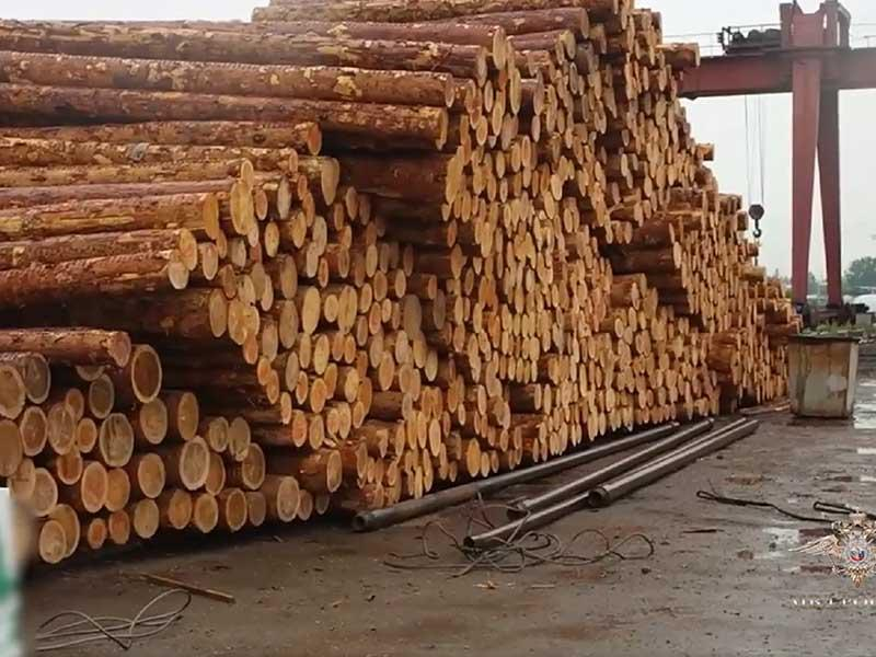 В Иркутске будут судить трёх контрабандистов, продавших леса на 423 миллиона