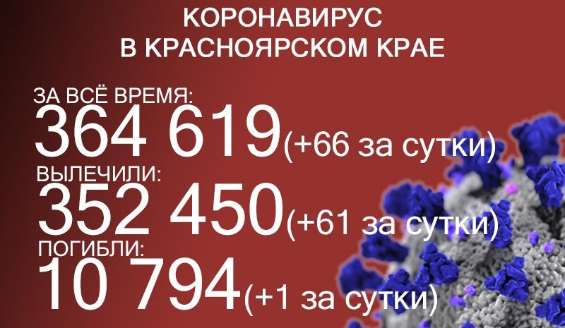 В Красноярском крае ещё 66 заболевших COVID-19, 28 человек госпитализировали