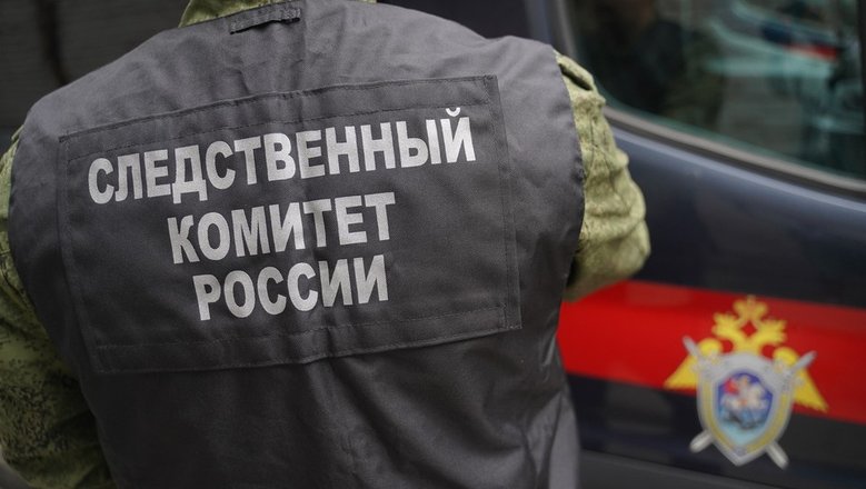 В Кызыле возбудили уголовное дело по факту попытки изнасилования школьницы