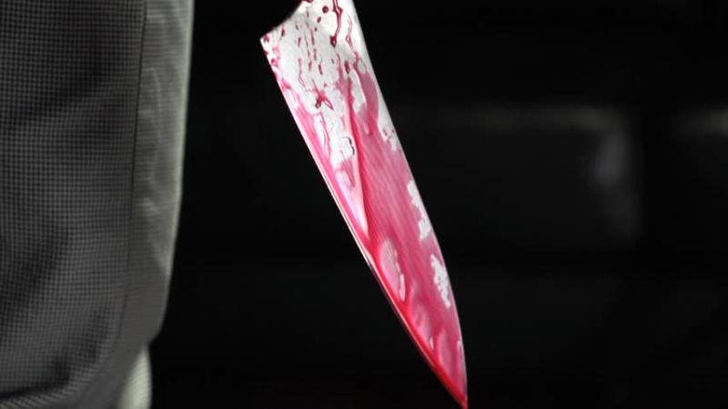 В Новосибирской области 28-летний мужчина расправился с женой и с её любовником