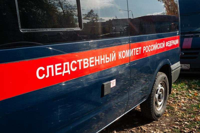 В Новосибирской области мужчина погиб в яме с семенами подсолнуха