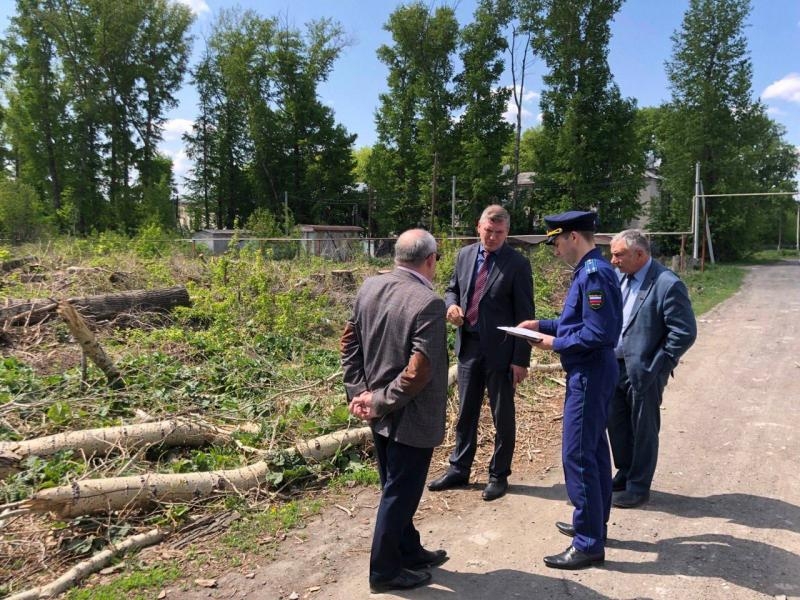 В Новосибирской области началось строительство домов для сирот после вмешательства прокуратуры