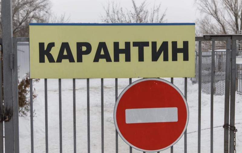 В Новосибирской области ввели карантин из-за очага бешенства