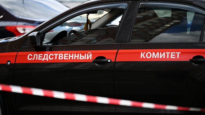 В Подмосковье на внука Дарьи Донцовой напала собака
