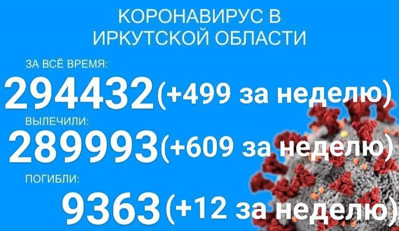 В Прибайкалье за неделю от COVID-19 умерло 12 человек