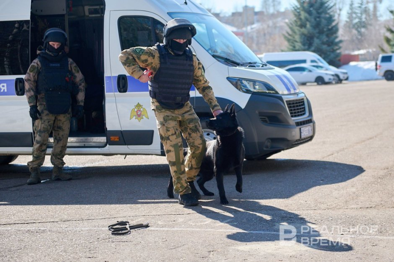 В Татарстане полицейские наказали рублем поставщика тест-тренингов для собак