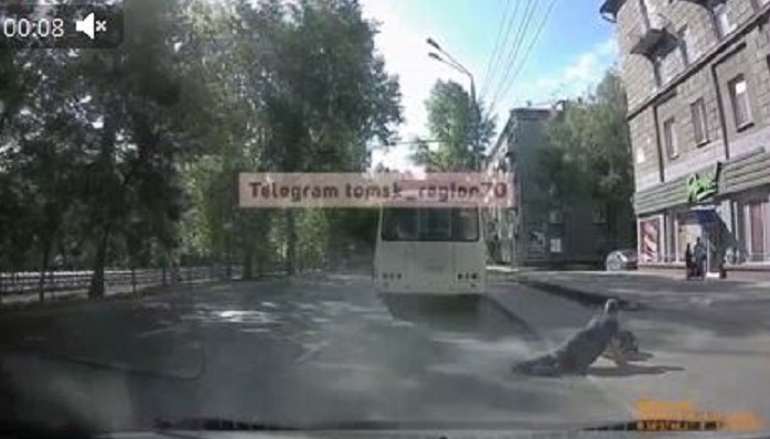 В Томске из салона автобуса на ходу выпал пассажир