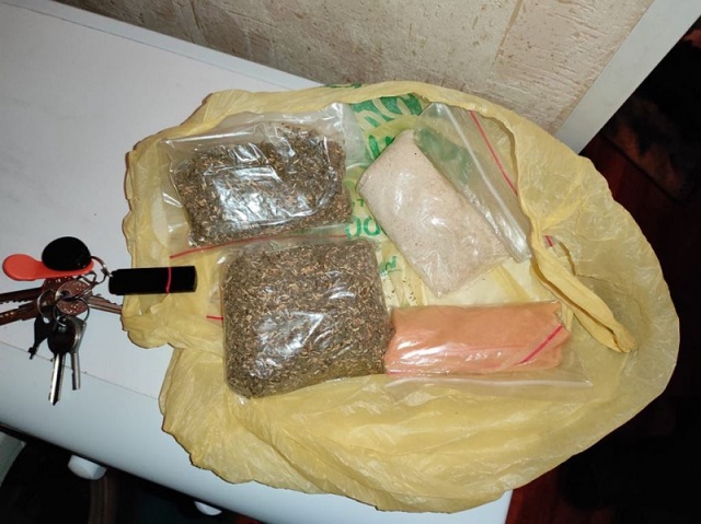 В Томске тайник с наркотиками нашла служебная собака по кличке Акбар