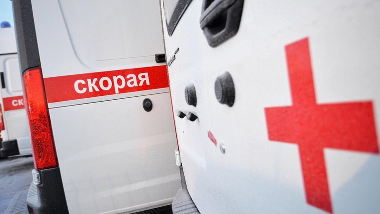 В Томской области двое мужчин погибли при нападении медведя