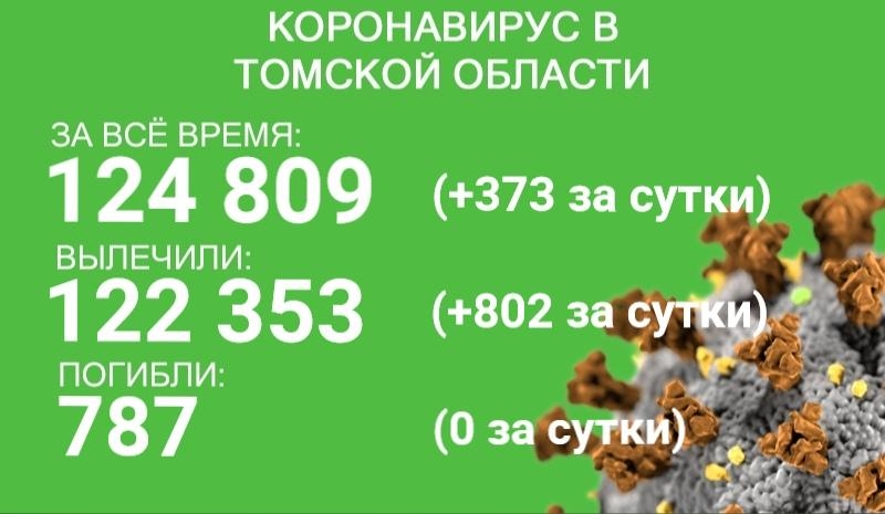 В Томской области коронавирус обнаружен ещё у 373 человек