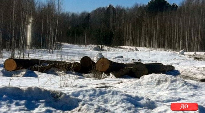 В Томской области от порубочных остатков очищено более 1600 «квадратов» сельхозугодий