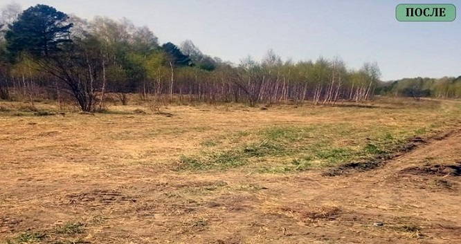 В Томской области от порубочных остатков очищено более 1600 «квадратов» сельхозугодий