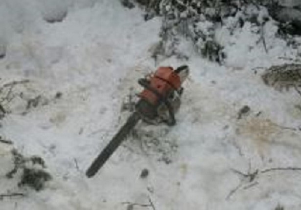 В Томской области с начала года выявлено 25 незаконных вырубок древесины