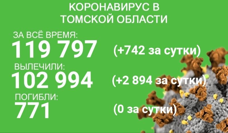 В Томской области за время пандемии от ковида погиб 771 человек