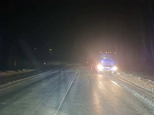 В Томском районе пешеход перебегал дорогу и погиб под колёсами грузовика 