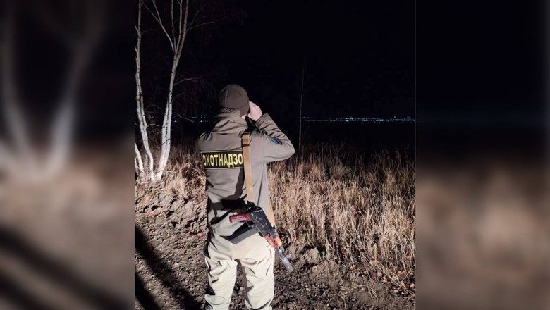 В Забайкалье охотники застрелили медведя после нападения на домашних свиней
