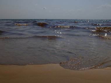 Вещи на выброс и бассейн вместо моря: Мазут на пляжах Вьетнама испортил отпуск российских туристов