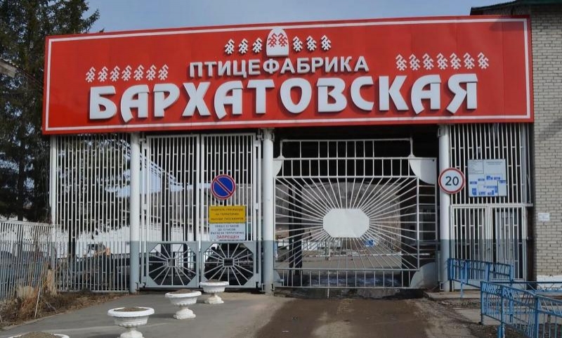 Власти Красноярского края снова попытаются продать Бархатовскую птицефабрику за ₽1 миллиард
