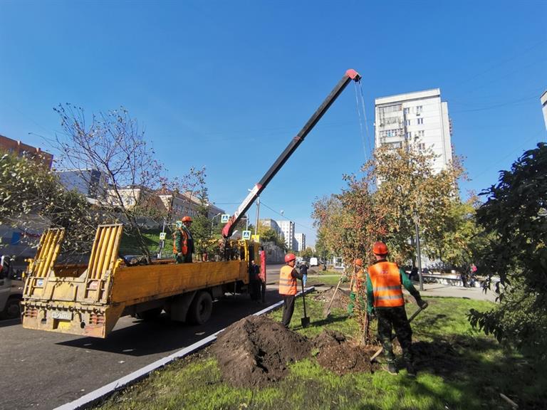 Власти пообещали озеленить Красноярск более чем на&nbsp;9&nbsp;миллионов рублей 