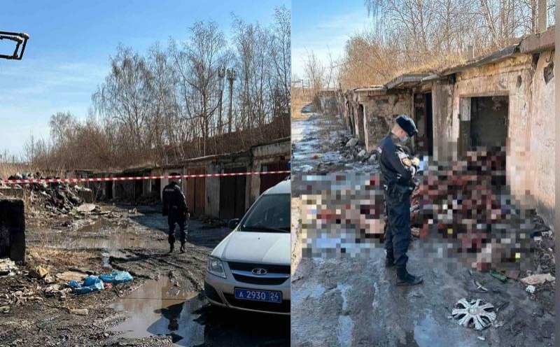 В Красноярске в заброшенных гаражах обнаружили свалку голов коров