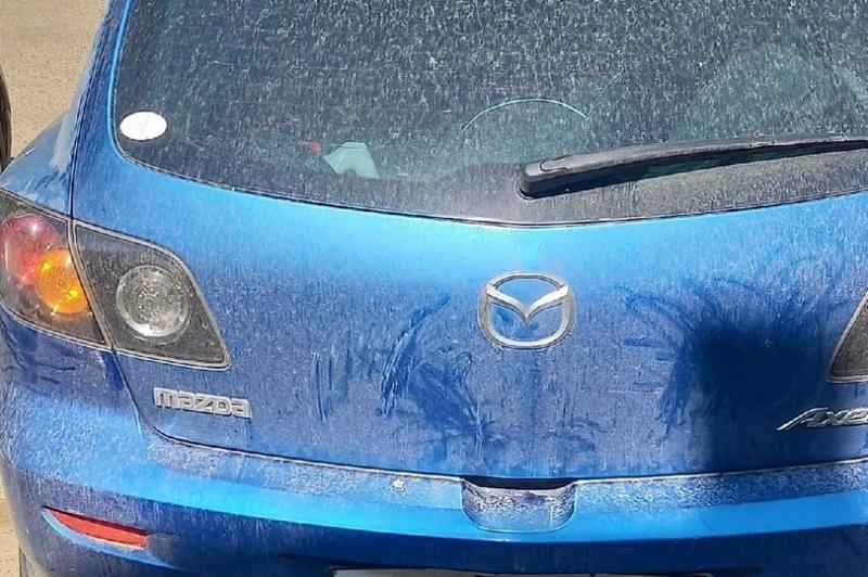 В&nbsp;Зеленогорске наказали женщину, которая оставила младенца в&nbsp;машине под палящим солнцем