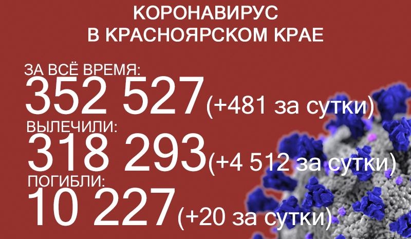 За две недели заболеваемость ковидом в Красноярском крае снизилась в 10 раз