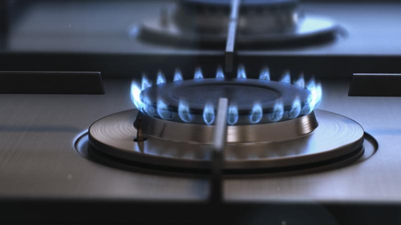 Жители Новосибирской области смогут подать заявку на догазификацию 