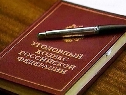 Жителя Стрежевого обвиняют в публичном оскорблении полицейского и ложном доносе