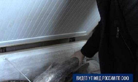 Жительницу Стрежевого подозревают в продаже краснокнижной рыбы. Ей грозит до 4 лет